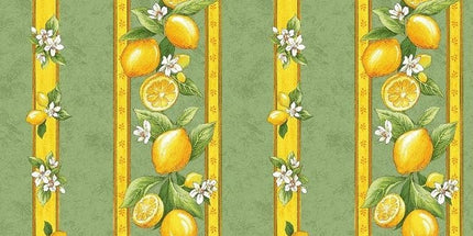 Nappe citron vert coton enduit plastifié 3m/1m55