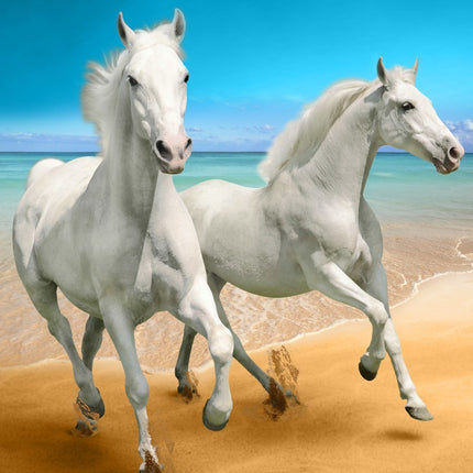 Serviette de plage chevaux plage 95 cm x 175 cm