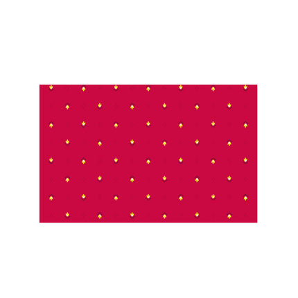 Nappe exclusif R coton enduit plastifiée 3m  x 1m55