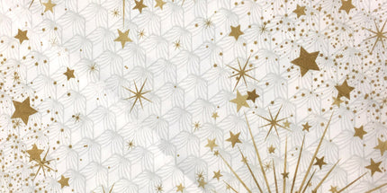 Nappe Illumination 3m x 1m50 anti tache et infroissable