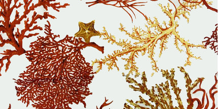 Nappe rectangle 1m50 x 1m20 Corail R Anti tache et infroissable