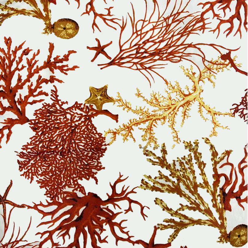 Nappe rectangle 1m50 x 1m20 Corail R Anti tache et infroissable