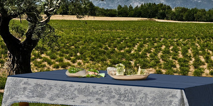 Nappe rectangle Toile de jouy bleu coton jacquard traité Téflon 3m x 1m60