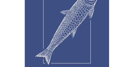 Torchon rectangle coton tissé jacquard SARDINE DU PORT BLEU 50 cm X 70 cm