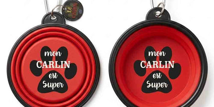 Bol à chien rétractable rouge – Mon Carlin est super