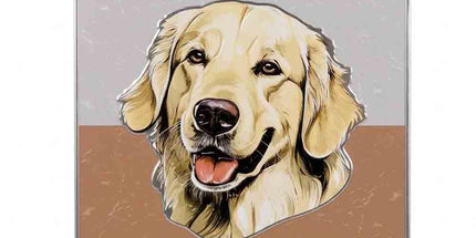 Plaque Metal 3D Golden Retriever – Je monte la garde – 15 x 20 cm